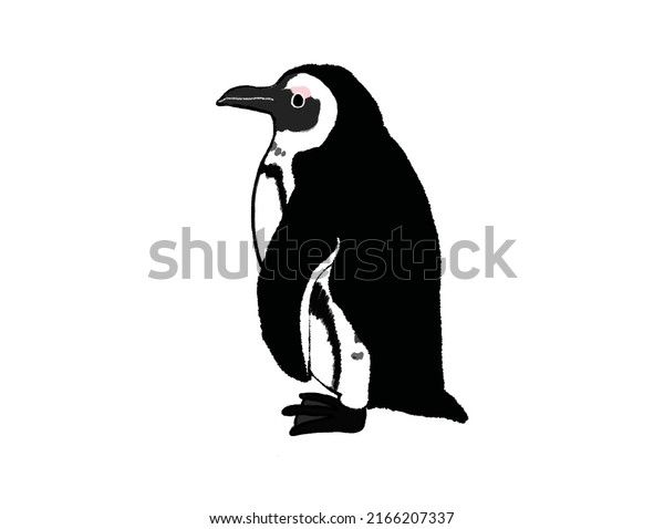 Cute African Penguin Facing Sideways Stock Illustration 2166207337 ...