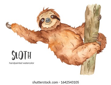 Cute Animal Sloth Sitting On A Tree. Watercolor Clipart