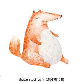 cute animals, fat fox sit with closed eyes, watercolor illustration on white background