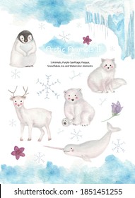 Cute Arctic Animals Watercolor Clipart Illustrations. Polar Bear Cub, Snow Fox, White Reindeer, Narwhal, And Bonus A Penguin Cub. Snowflakes, Purple Saxifrage, Pasque,Ice, Watercolor Splash Element