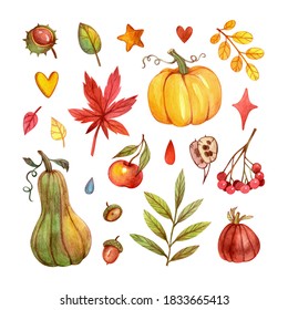 Cute autumn set and pumpkins  leaves   other elements  Drawn by hand and watercolors   colored pencils 
