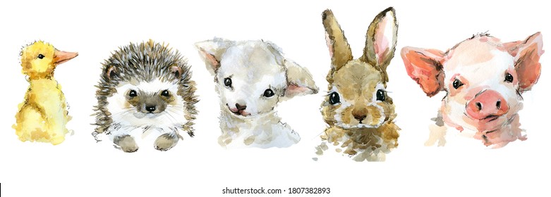 Cute Baby Animals Watercolor Set