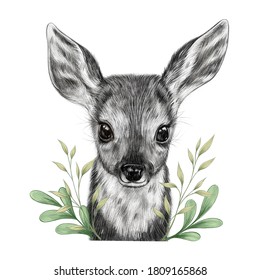 Baby Animals Pencil Drawing Images Stock Photos Vectors Shutterstock