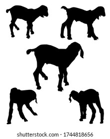 Cute Baby Goats Silhouette Set