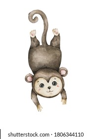 Cute Baby Monkey Hand Drawn Adorable Watercolor African Animals Illustration On White Background.