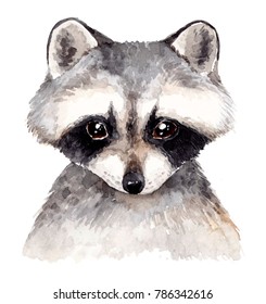 Cute Baby Raccoon. Watercolor Illustration . Hand Drawn Forest Animal Portrait.