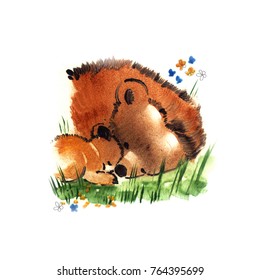 Cute Bear Cub Sleeping With His Mother On The Grass. Handmade Illustration For Kids.