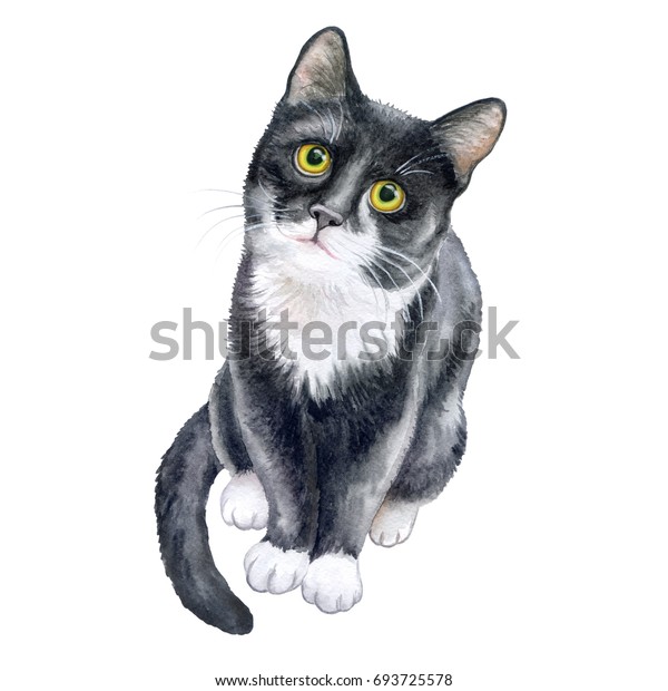 可爱的黑猫隔离在白色背景 水彩 库存插图模板 一只现实的小猫模板库存插图