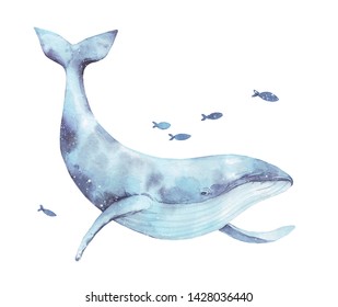 白い背景にかわいい青いクジラの水彩イラスト 大きな水中野生動物で美しい青い紫色の白い水色の鯨 のバレーナの絵 海洋性または海洋性の水上動物が泳ぐ哺乳動物 のイラスト素材 Shutterstock