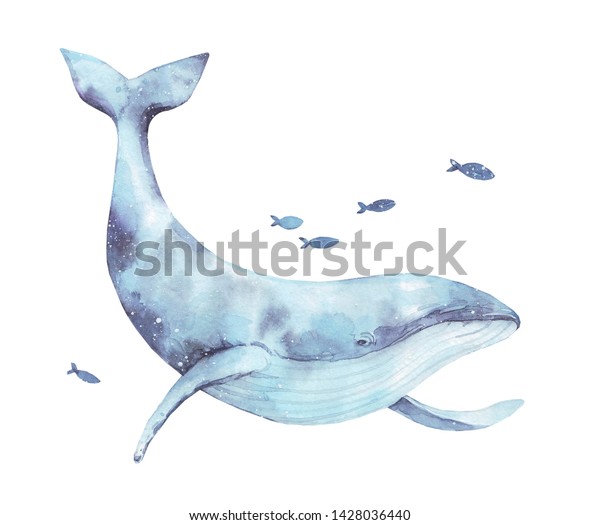 白い背景にかわいい青いクジラの水彩イラスト 大きな水中 野生動物で美しい青い紫色の白い水色の鯨のバレーナの絵 海洋性または海洋性の水上動物が泳ぐ哺乳動物 のイラスト素材