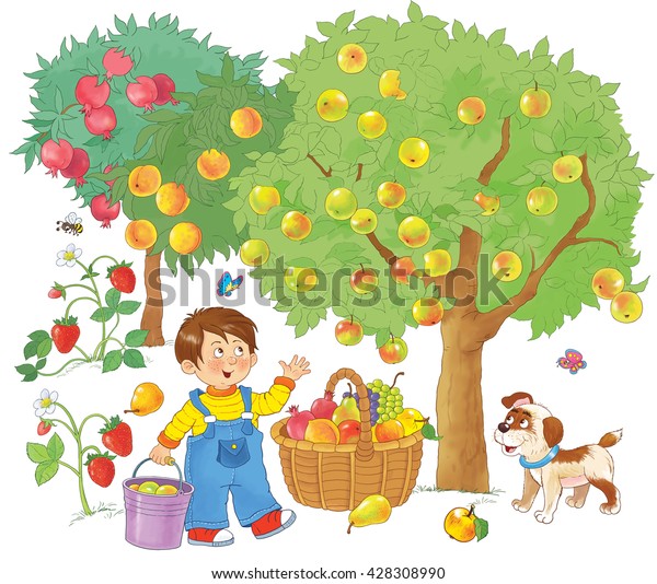 Cute Boy Fruit Garden Picking Apples 库存插图490