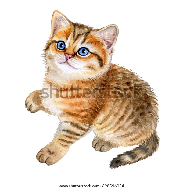 可爱的英国小猫与蓝色的眼睛隔离在白色背景 水彩插图 模板 剪辑艺术库存插图