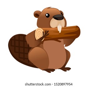 Castor Animal Stock Illustrations, Images & Vectors | Shutterstock