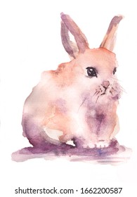 Cute Brown Easter Rabbit Watercolor Illustration