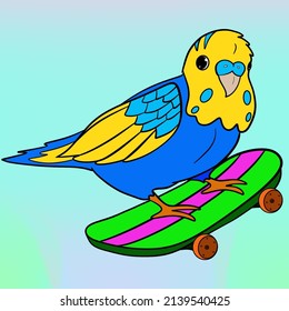 Cute Budgie Having Fun On Skateboard 