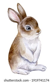 Cute Bunny Rabbit,  Isolated On White Background. Easter. Watercolor. Illustration. Hand Drawing. Greeting Card Design. 