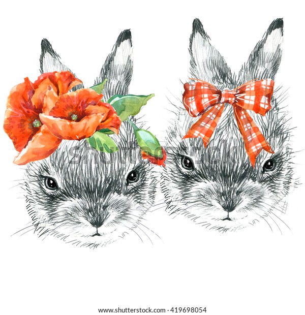 Cute Bunny Rabbit Pencil Sketch Illustration Stock Illustration 419698054