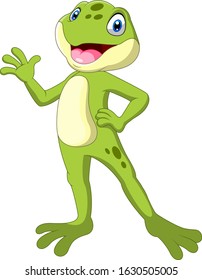 Cartoon Frog Vector Drawing Cartoon Frog Stock Vector (Royalty Free ...