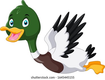 Cute Cartoon Mallard Duck Flying