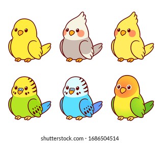 Cute cartoon pet birds illustration set. Cockatiel, parakeet, canary, lovebird. Small parrots isolated clip art.