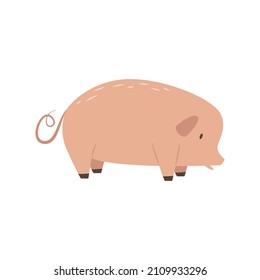 Cute Cartoon Pig. Traditional Farm Animal. Rural Life Item. Meat Livestock. Boar On The Ranch. Simple Flat Cattle Icon. Illustration For Children's Books. Clipart For Board Game Design.