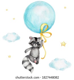Cute cartoon raccoon flying on a blue air balloon; watercolor and colored pencils illustration; with white isolated background