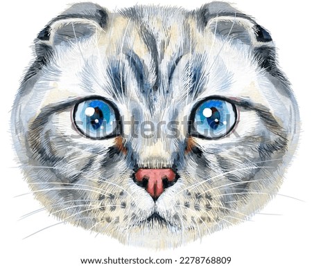Cute cat. Cat for t-shirt graphics. Watercolor scottish fold cat breed illustration