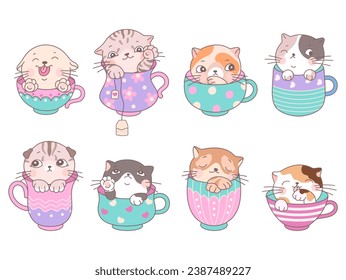 Cute cats in cup