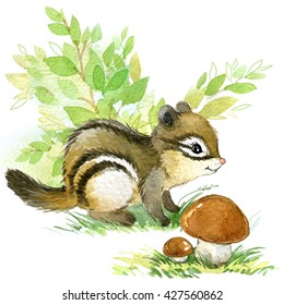 Cute Chipmunk. Watercolor Forest Animal Illustration.