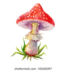 Cute  colorful watercolor amanita characters illustration Isolated on white background . 