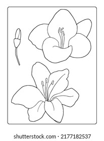 Cute coloring book and simple magnolia flowers  To develop drawing skills