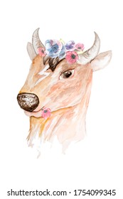 Cute cow by hand drawn watercolor and flowers her head  Portrait young cow head isolated  illustration white background  The drawn goby is brown  spotted  T  shirt beautiful image for girls