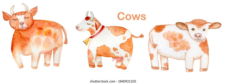 Cute cows  Farm animals  Hand drawn Watercolor elements  Isolated white background  