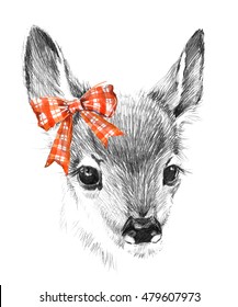 Cute Deer. Pencil Sketch Of Fawn. Animal Illustration. T-shirt Design.