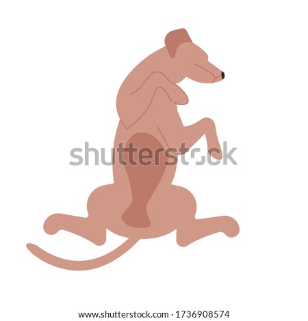 Similar – Image, Stock Photo Dog lying on the ground with sticks