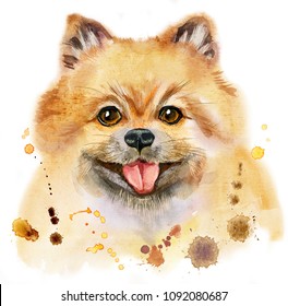 Cute Dog. Dog T-shirt graphics. watercolor pomeranian spitz illustration