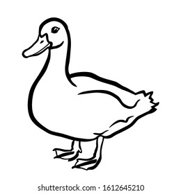 Ilustrasi Stok Cute Duck Coloring Book Print Adults 1612645210