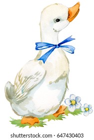 Cute Duck. Domestic Farm Bird Watercolor Illustration.