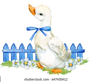 cute duck. domestic farm bird watercolor illustration.