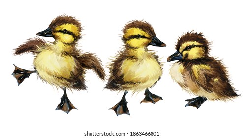 Cute Duck Watercolor Illustration. Baby Animals Series