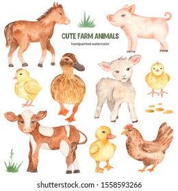 Cute Farm Animals Horse, Pig, Lamb, Calf, Duck, Duckling, Chick Watercolor Clipart