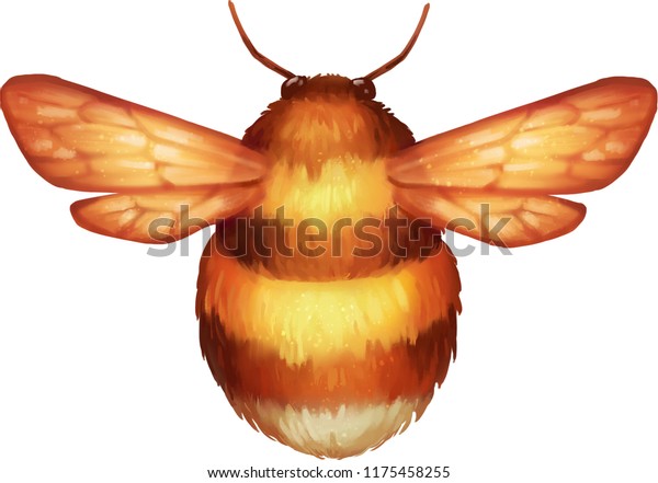 Cute Fat Bumblebee Stock Illustration 1175458255