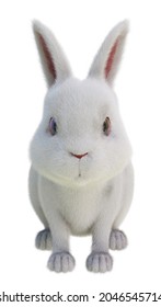 Cute Fluffy White Bunny, Rabbit, 3d Illustration.