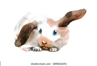 Illustrated Rabbit Hd Stock Images Shutterstock