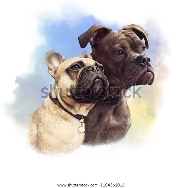 かわいいフランスのブルドッグ 水の色の背景に2匹のボクサー犬のリアルな描画 ペットの手描きのイラスト 水彩動物画コレクション 犬 カバーには Tシャツ 枕をプリント のイラスト素材