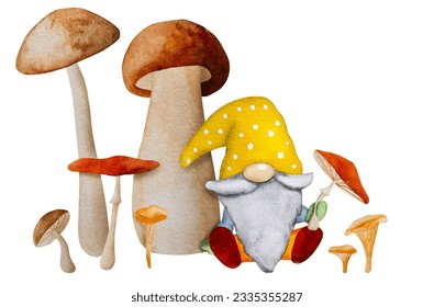 Cute gnome dwarf and mushrooms harvest at autumn season watercolor illustration  Aquarelle cartoon elf and beard drawing
