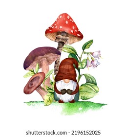 Cute gnome and mushrooms   forest flowers  grass design  Watercolor cartoon character dwarf in beautiful woodland card illustration