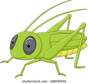 Cute Grasshopper Posing Isolated On White Stock Vector (Royalty Free ...