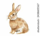 Cute Gray Bunny Rabbit isolated watercolor illustration painting Pastel Easter animal art transparent white background greeting card stationary holiday easter gift egg decoration paper stationery