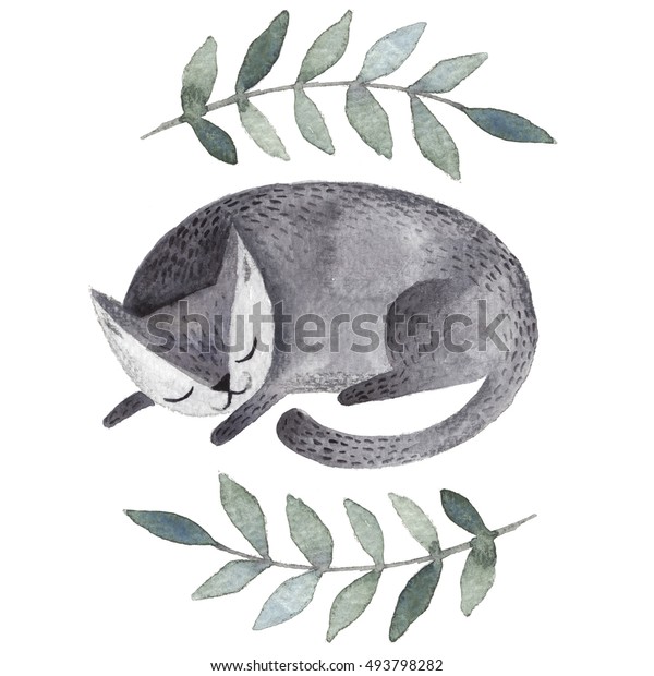可愛い灰色の眠り猫 水彩の子どもと家畜のイラスト 眠れる愛らしいペット ギフトカード はがき グリーティングカード Tシャツ その他のデザインに最適な手描きのイラスト のイラスト素材